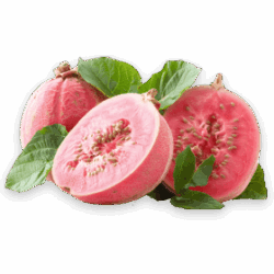 guava